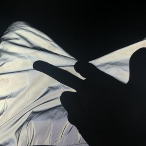 论文高端小蛇导航
